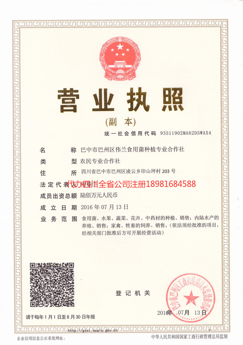 沁阳沁阳伟兰食用菌种植专业合作社